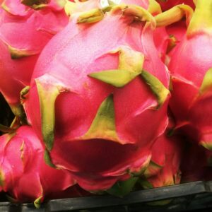 Dragonfruit poeder beautyfoods